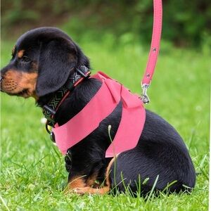 Harness Leash Traction Rope for Dog/Cat - New
